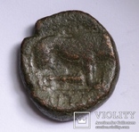 Македонія, м.Амфіполіс, 148-32/1 до н.е. – Геракл / лев (2), фото №6
