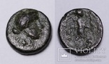 Троада, м.Александрія, 301-281 до н.е. – Аполлон Смінтей («Бог мишей»), фото №2