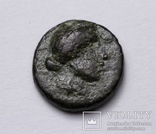 Троада, м.Александрія, 301-281 до н.е. – Аполлон Смінтей («Бог мишей»), фото №3