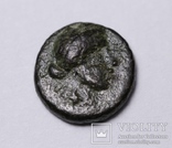 Троада, м.Александрія, 301-281 до н.е. – Аполлон Смінтей («Бог мишей»), фото №5