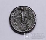 Троада, м.Александрія, 301-281 до н.е. – Аполлон Смінтей («Бог мишей»), фото №6