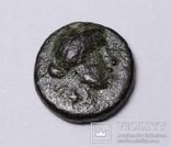 Троада, м.Александрія, 301-281 до н.е. – Аполлон Смінтей («Бог мишей»), фото №8