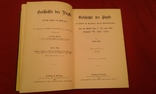 Старинное собрание книг. История Пап. в 22 томах., фото №5