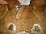 Большой олимпийский мишка из шкуры северного оленя 1980 г. в., фото №9