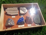 Набор природных минералов №2, фото №3