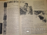 Три номера журнала Пионерия 1956,57,58, фото №10