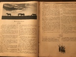 1926 Ялта, Гурзуф -Кузница здоровья. Красной Армии Красная Нива 37, фото №4