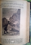 Жюль Верн - Таинственный остров 1897г. Много иллюстраций., фото №13