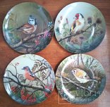 ‘‘Птицы’’ декоративная коллекционная тарелка Германия фарфор ‘‘Bradex’’, фото №11