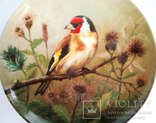 ‘‘Птичка’’ декоративная коллекционная тарелка Германия фарфор ‘‘Bradex’’, фото №4