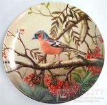 ‘‘Птицы’’ декоративная коллекционная тарелка Германия фарфор ‘‘Bradex’’, фото №3