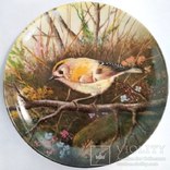 ‘‘Птицы’’ декоративная коллекционная тарелка Германия фарфор ‘‘Bradex’’, фото №7