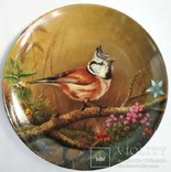 ‘‘Птицы’’ декоративная коллекционная тарелка Германия фарфор ‘‘Bradex’’, фото №8