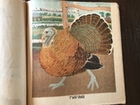 1938 Детская книжка для Северного Кавказа, фото №5