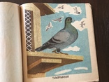 1938 Детская книжка для Северного Кавказа, фото №7
