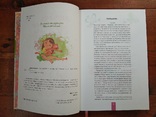 "Дівчаче дозвілля на всі 100%". 370стр., фото №5