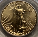 50 $ 2006-W год США золото 33,91 грамм 917’, фото №4