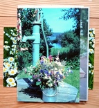 Открытки цветы букеты книги, фото №6