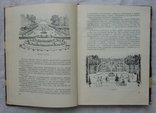 По садам и паркам мира. Н. Верзилин. 1961г., фото №7