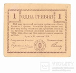 1 гривня 1919 Броды XF, фото №2