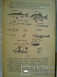 Практика спортивного рыболовства. 1966 г., фото №4