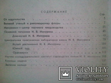 В садах и лабораториях Мичуринска. 1961 г., фото №10