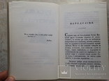 Русалка Днистрова., фото №8