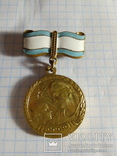 Медаль материнства 2 степень лот №2, photo number 2