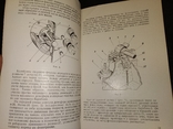 Кинокамера 1954 кинопередвижка Украина Одесса, фото №6