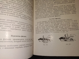 Кинокамера 1954 кинопередвижка Украина Одесса, фото №10