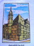 Вимпел з гербом Альтенбурга, Німеччина, фото №7