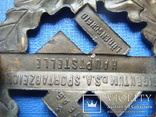 Спортивный знак СА, III Рейх, фото №7
