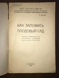 1926 Как заложить Плодовый Сад, фото №3