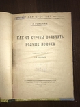 1926 Как от коровы получить больше Молока, фото №3