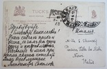 Открытка Tucks Сфинкс 1911 год, фото №5