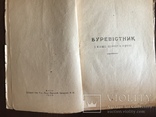 1919 Українська книга Дніпрова Чайка, фото №3