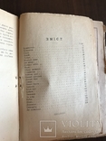 1919 Українська книга Дніпрова Чайка, фото №9