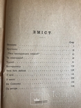 1919 Українська книга Дніпрова Чайка, фото №10