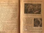 1924 Учебник Пчеловодства Уманский, фото №8