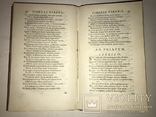 1772 Красочная Книга с золотым тиснением и обрезом, фото №8