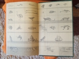 Книга.Чарлз Дарвин,путешествие натуралиста вокруг света на корабле ''БИГЛЬ''.1983 г.,, фото №4