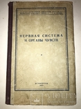 1956 Нервная Система для Военного Института Спорта, фото №11