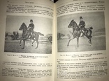 1936 Основы езды на лошадях Военное издание, фото №8