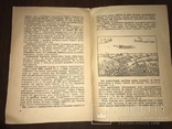 1934 Учёт Сусликов Актуальная книга, фото №6