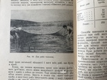 1953 Рыбалка Рыболовство с автографом, фото №6