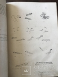 1896 Атлас по Шелководству ценный труд, фото №7