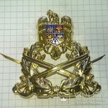 3 шт кокарда: пехота , флот , авиация Romania cap badge capbadge AF Air Force Navy Army, фото №5