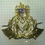 3 шт кокарда: пехота , флот , авиация Romania cap badge capbadge AF Air Force Navy Army, фото №9