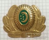 Turkmen cap badge (латунь) brass Messing Turkmenistan MützenAbzeichen MützenEmblem, фото №3