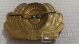 Turkmen cap badge (латунь) brass Messing Turkmenistan MützenAbzeichen MützenEmblem, фото №5
